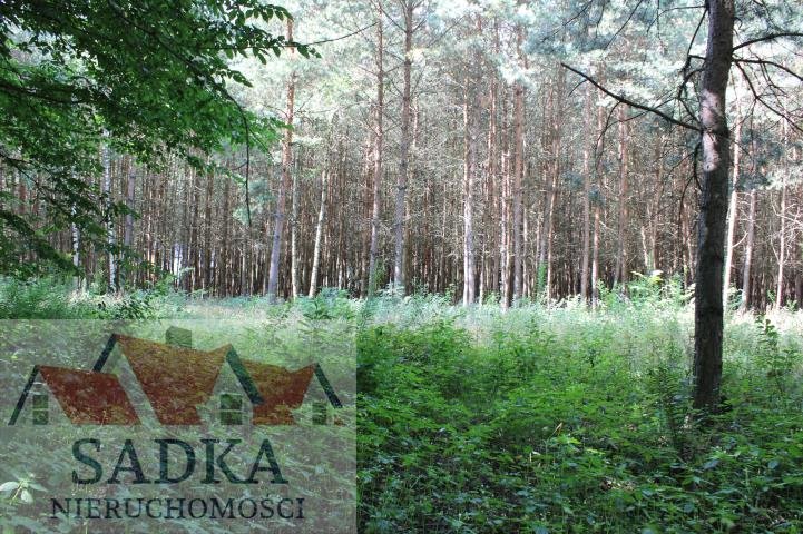 Działka budowlana na sprzedaż Adamów-Parcel, Łęgowa  1 500m2 Foto 1