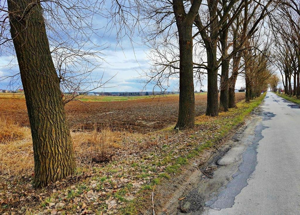 Działka 46 ar z warunkami pod 6 domów w Zemborzycach Lublin, Zemborzyce  4 600m2 Foto 1