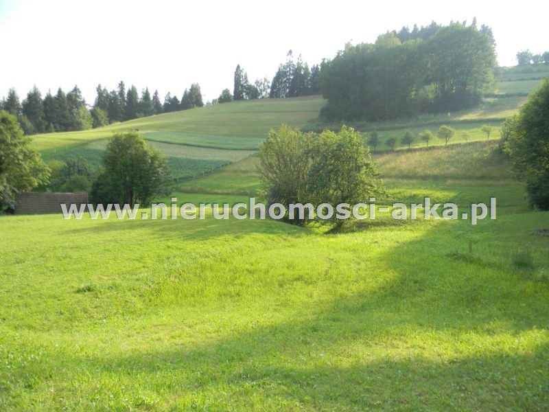 Działka inna na sprzedaż Szczawa 2 700m2 Foto 1 Działka inna na sprzedaż Szczawa 2 700m2 Foto 1