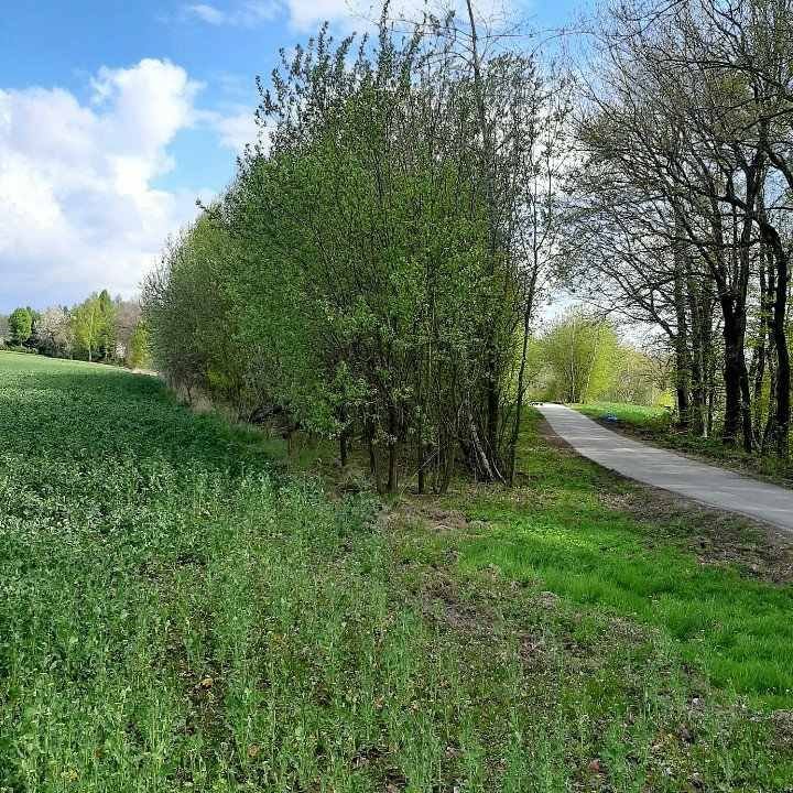 Działka budowlana na sprzedaż Burów  1 500m2 Foto 1