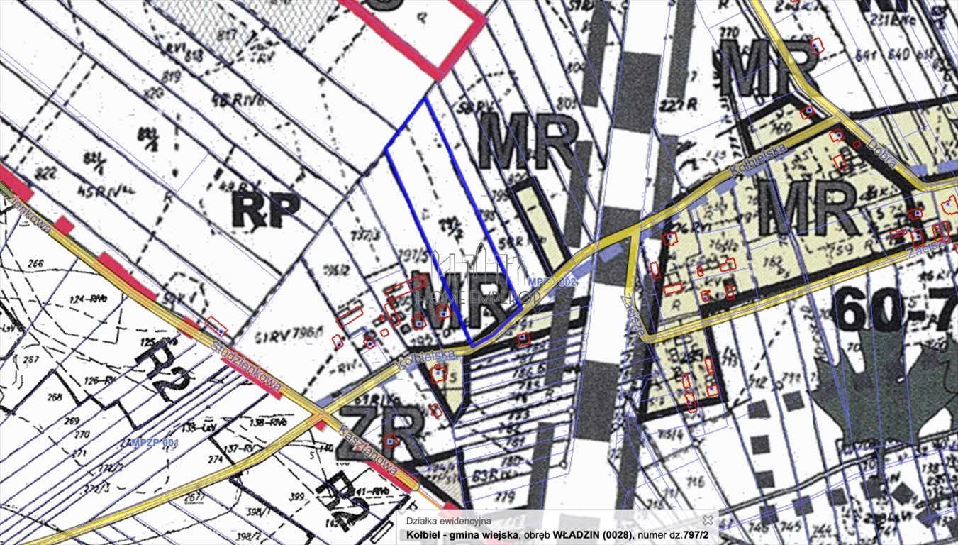 Sprzedam działkę 13 200 m² w Władzinie z mediami Władzin, Kołbielska  13 200m2 Foto 1