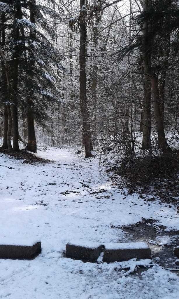 Dom na sprzedaż Lądek-Zdrój  400m2 Foto 3