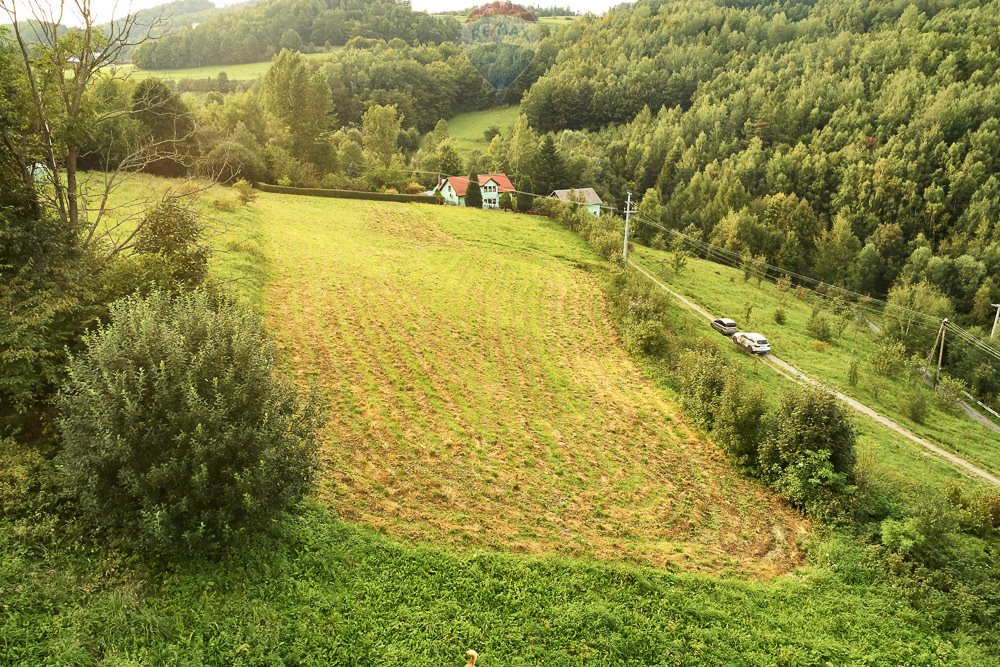 Działka budowlana na sprzedaż Ochotnica Dolna  4 383m2 Foto 3