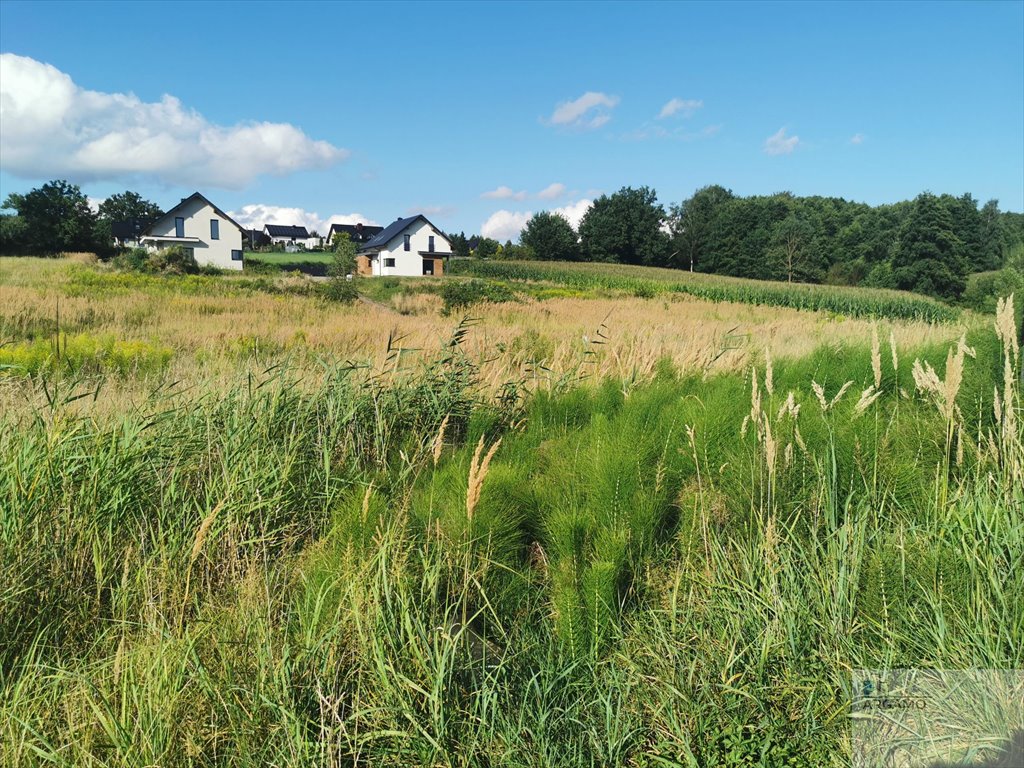 Działka budowlana na sprzedaż Wodzisław Śląski  2 084m2 Foto 9