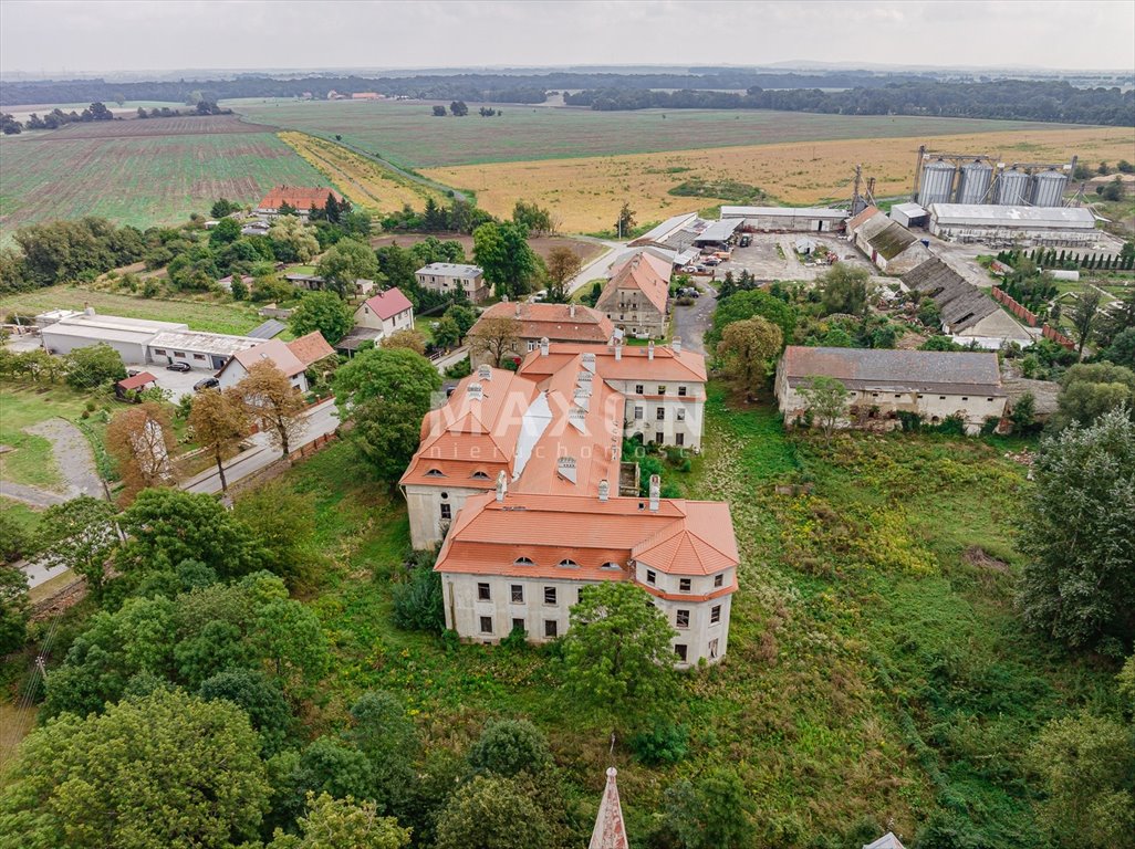 Dom na sprzedaż Małuszów  4 100m2 Foto 14