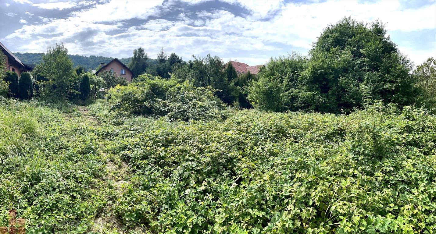 Działka budowlana na sprzedaż Zabierzów  1 500m2 Foto 2