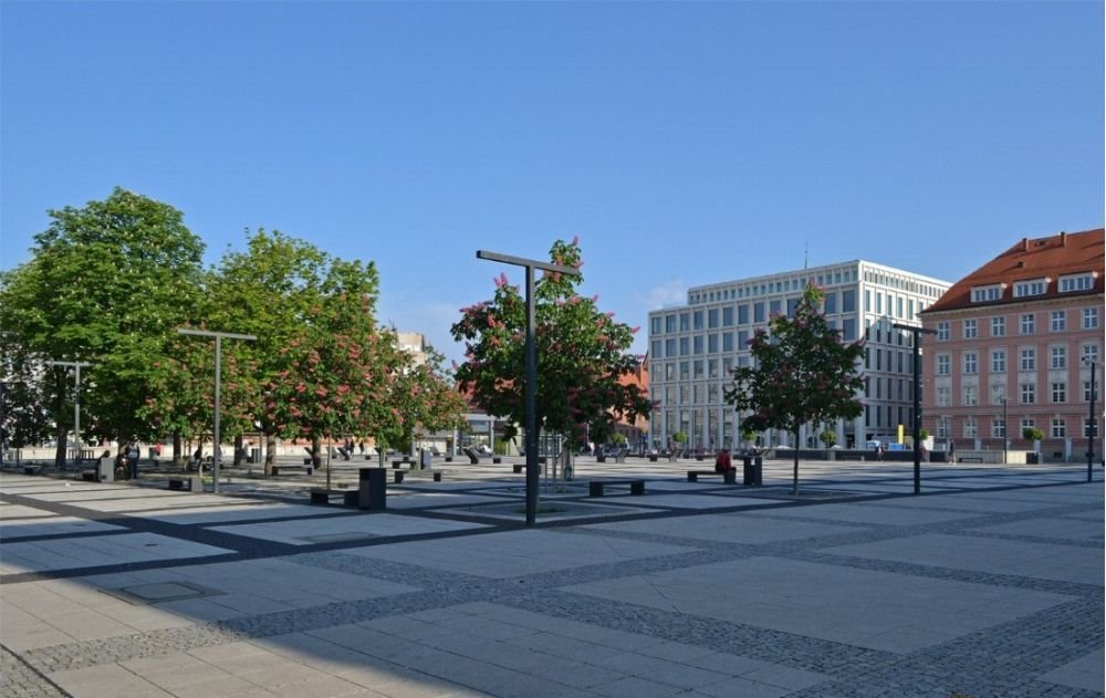 Zdjęcie 7