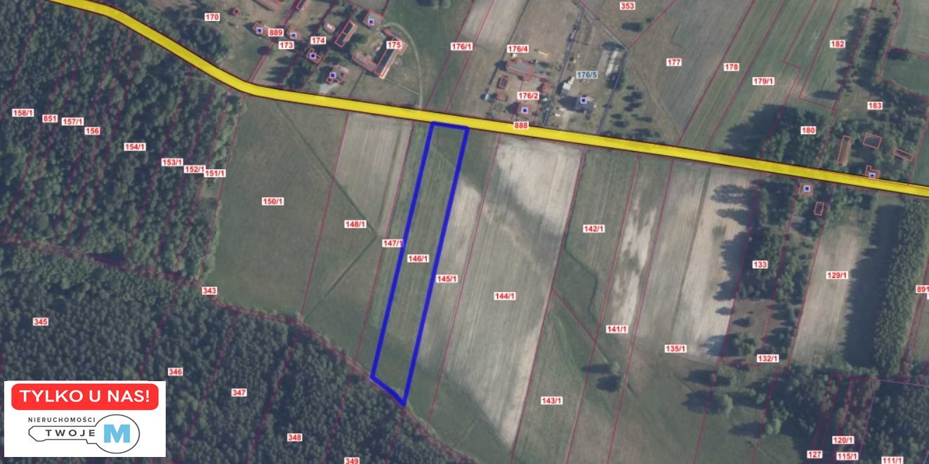 Działka budowlana na sprzedaż Kluczewsko, Stanowiska  8 000m2 Foto 1