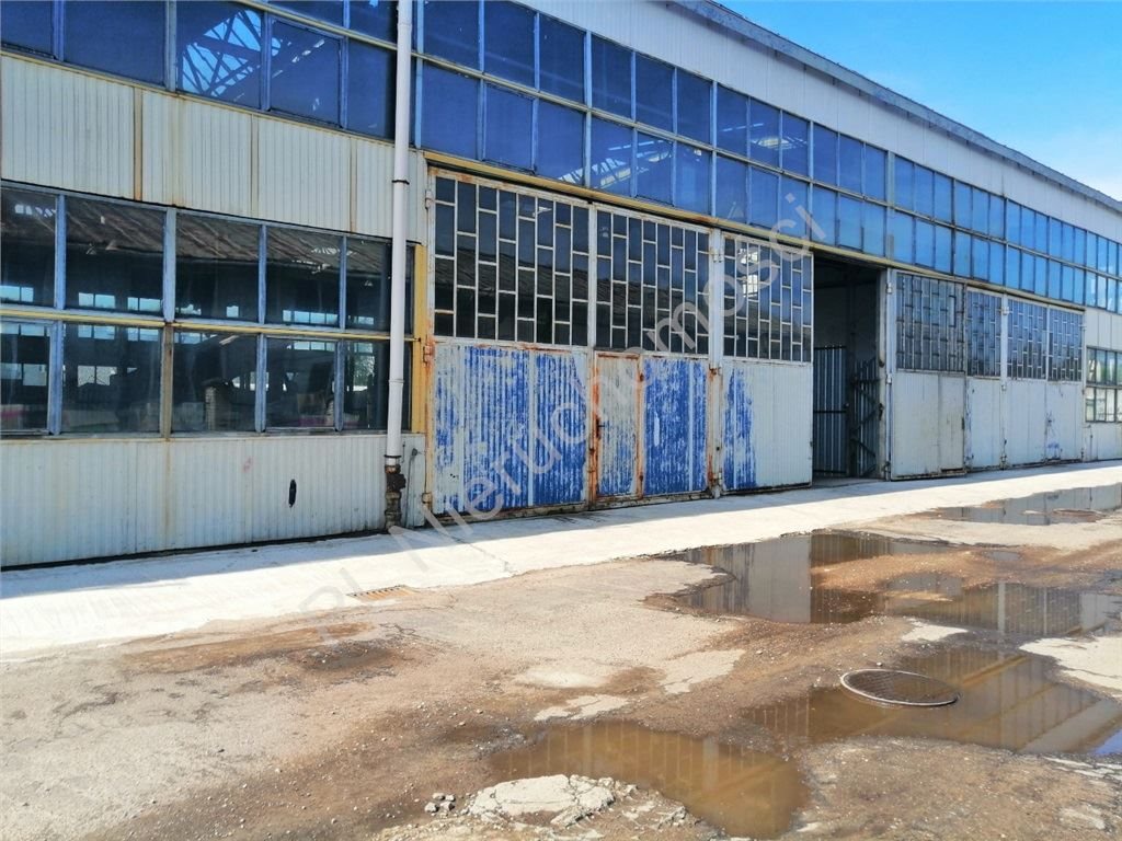 Lokal użytkowy na wynajem Mińsk Mazowiecki 600m2 Foto 1 Lokal użytkowy na wynajem Mińsk Mazowiecki 600m2 Foto 1