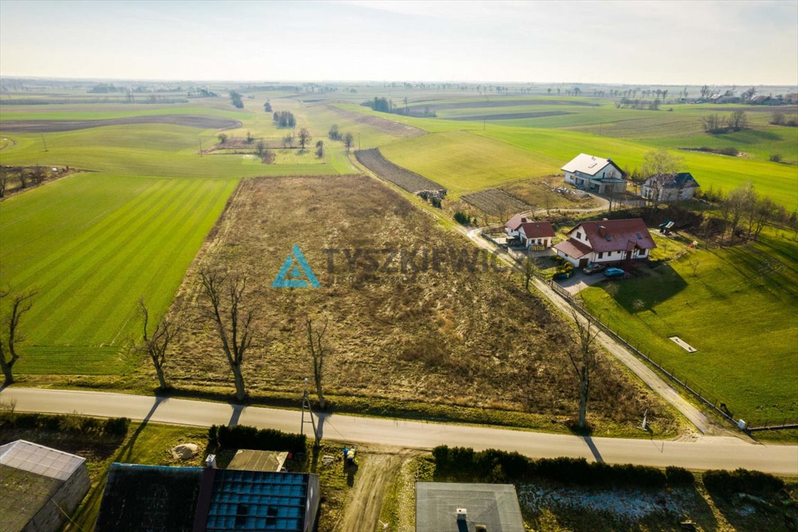 Działka rolna na sprzedaż Lotyń  1 556m2 Foto 6