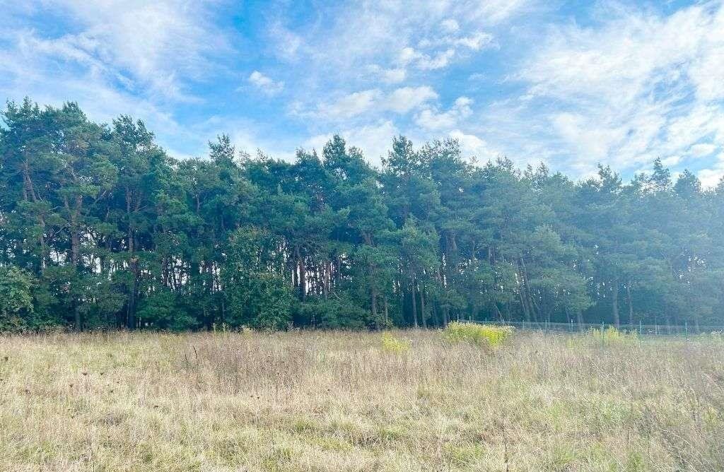 Działka budowlana na sprzedaż Rabowice  950m2 Foto 2