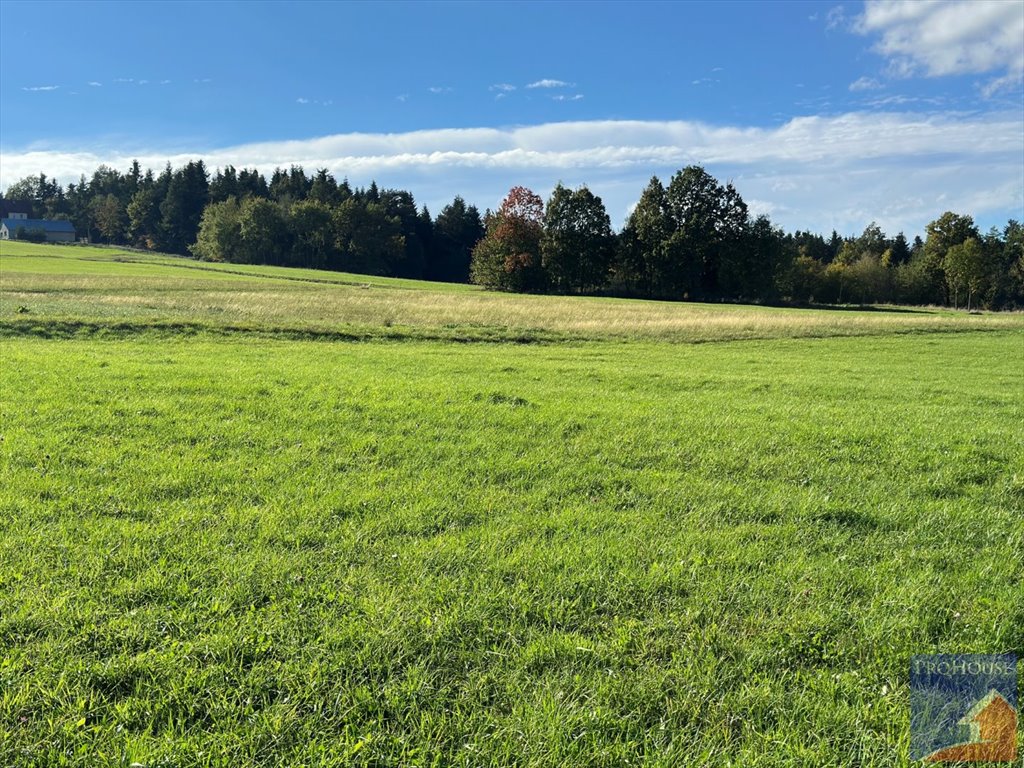 Działka budowlana na sprzedaż Męcina  6 600m2 Foto 2