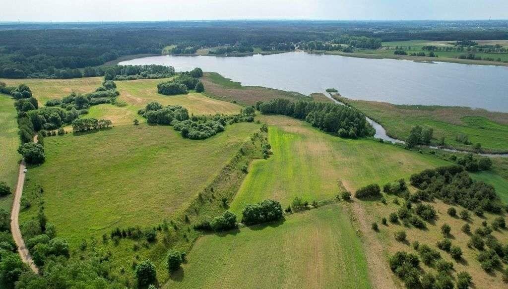 Działka rolna na sprzedaż Straduny  3 000m2 Foto 5