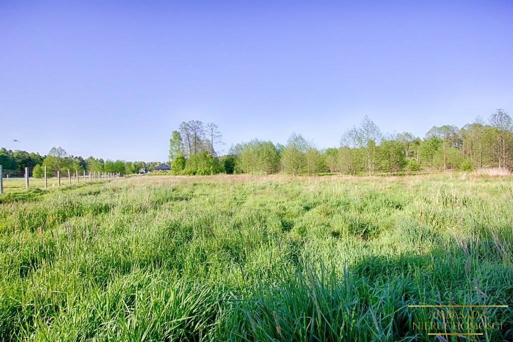 Działka inna na sprzedaż Knyszyn  7 964m2 Foto 2