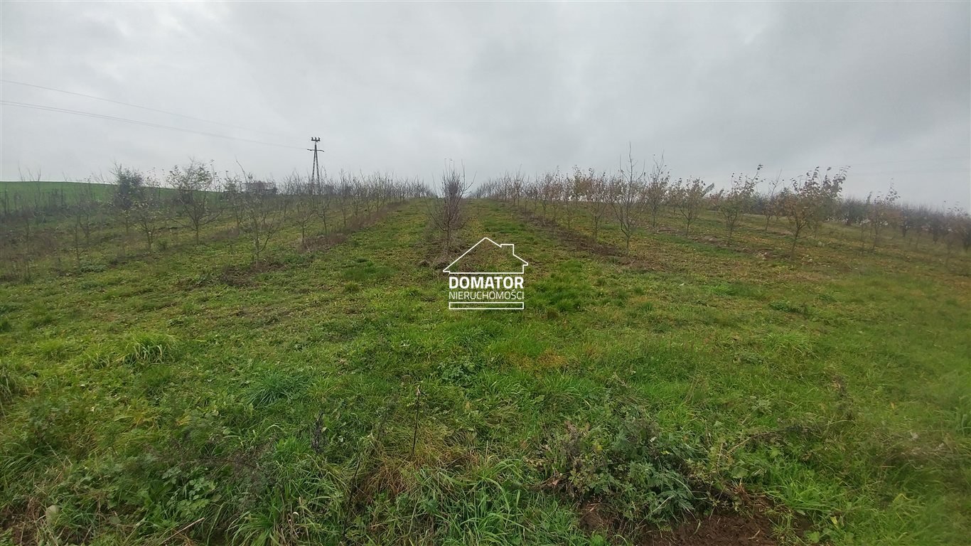 Działka budowlana na sprzedaż Tryszczyn  1 500m2 Foto 1