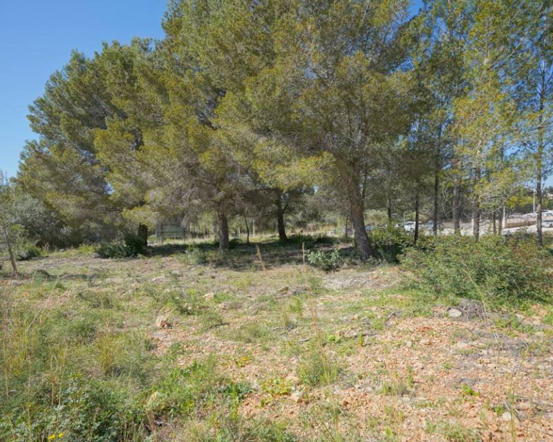 Działka budowlana na sprzedaż Hiszpania, Javea, Hiszpania, Javea  1 500m2 Foto 2