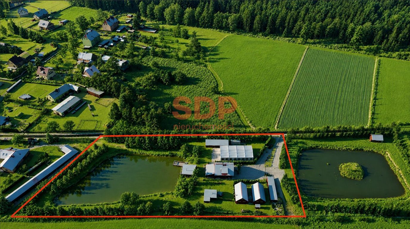 Kompleks agroturystyczny na wynajem w Borównie, 7 779 m2 Borówno, ok. Kamiennej  7 779m2 Foto 1
