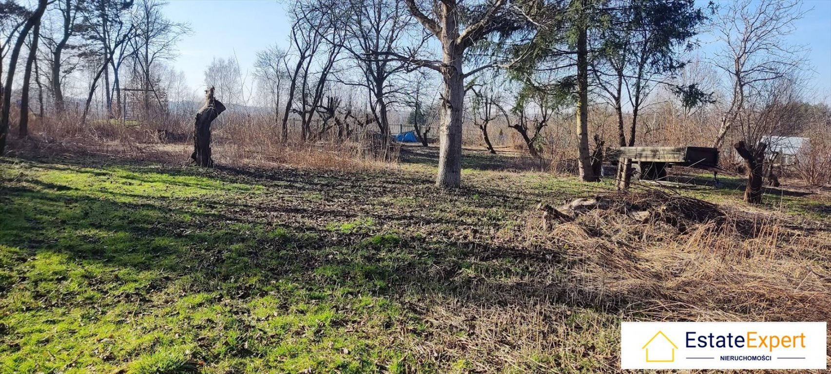 Działka budowlana na sprzedaż Piotrkowice, Piotrkowice, 477  3 600m2 Foto 5