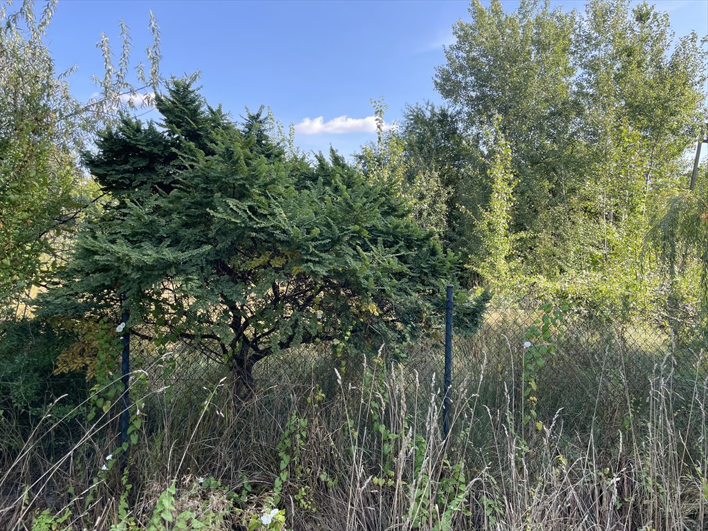 Działka budowlana na sprzedaż Jaktorów, Sikorskiego 2  1 080m2 Foto 1