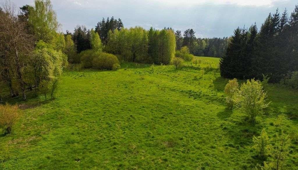 Działka rolna na sprzedaż Jakubowo  3 500m2 Foto 10