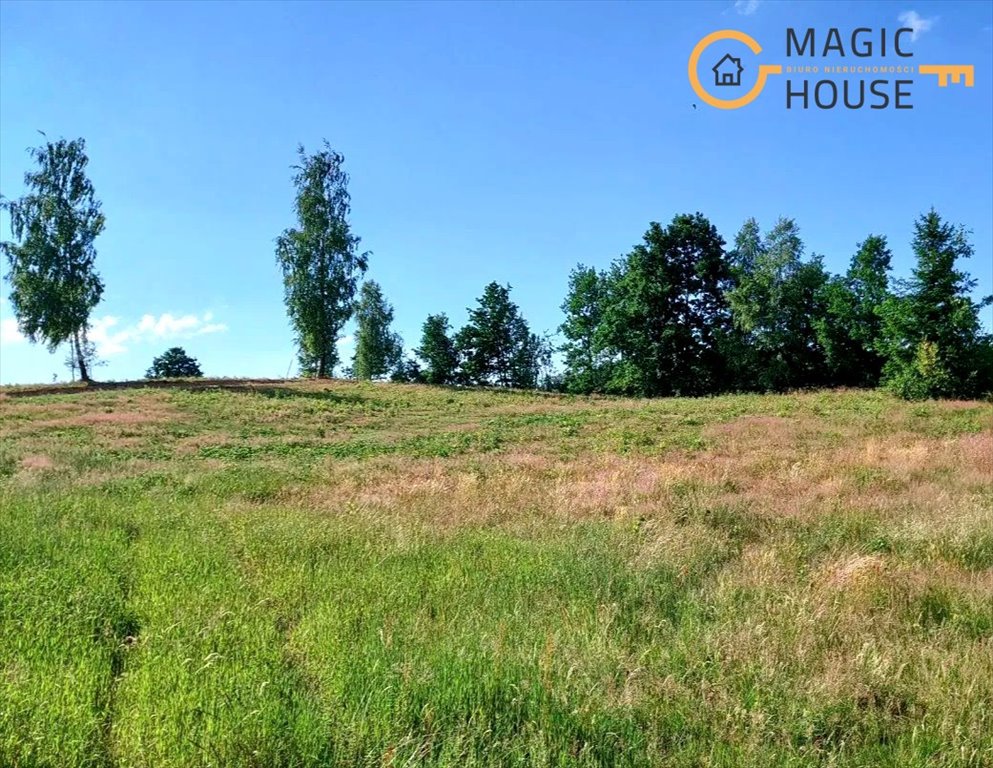 Polecam działkę 4000 m² z oczkiem wodnym, blisko jeziora Łyśniewo Sierakowickie  4 000m2 Foto 1