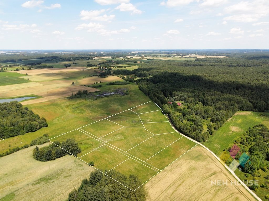 Działka budowlana na sprzedaż Pajtuny  3 193m2 Foto 5