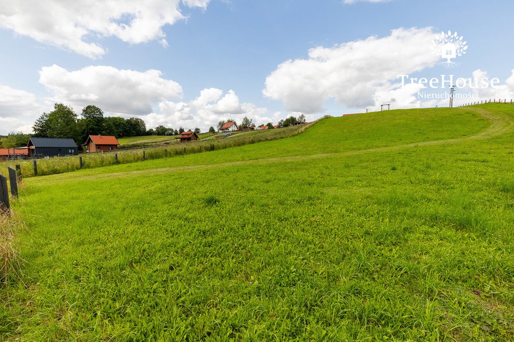 Działka budowlana na sprzedaż Pasterzewo  9 259m2 Foto 17