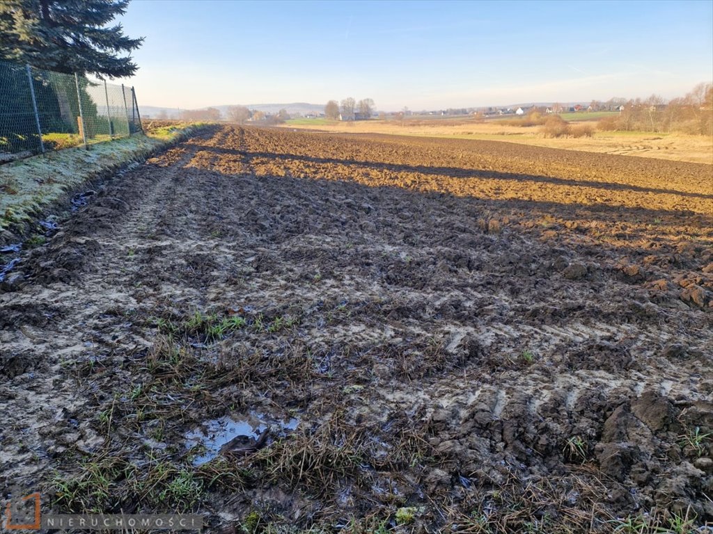 Działka budowlana na sprzedaż Wilków  600m2 Foto 5