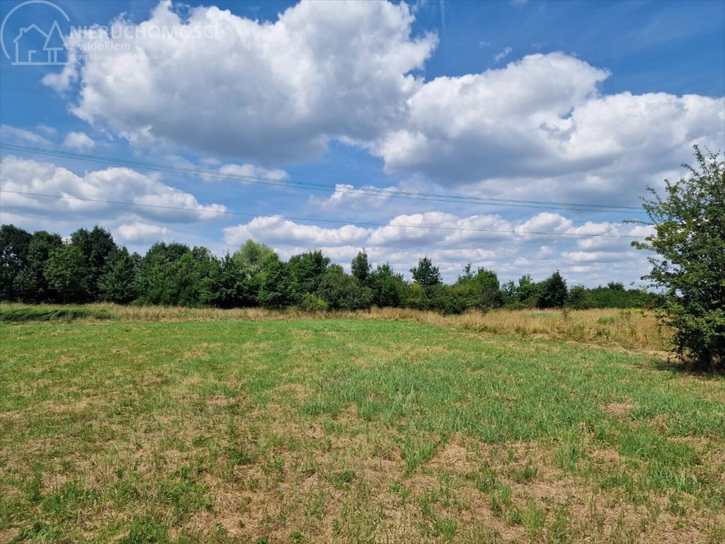 Działka budowlana na sprzedaż Krzeczów  1 100m2 Foto 1