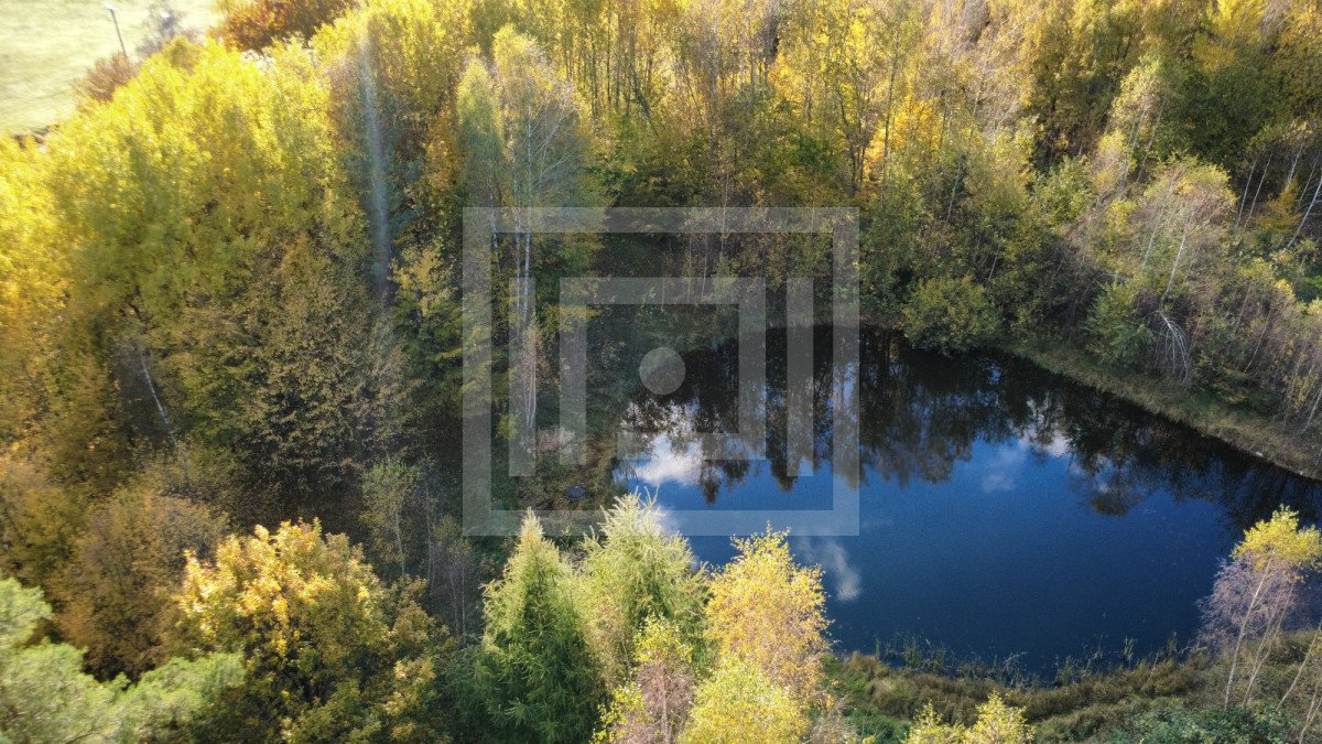 Działka budowlana na sprzedaż Gromadzin  3 000m2 Foto 1