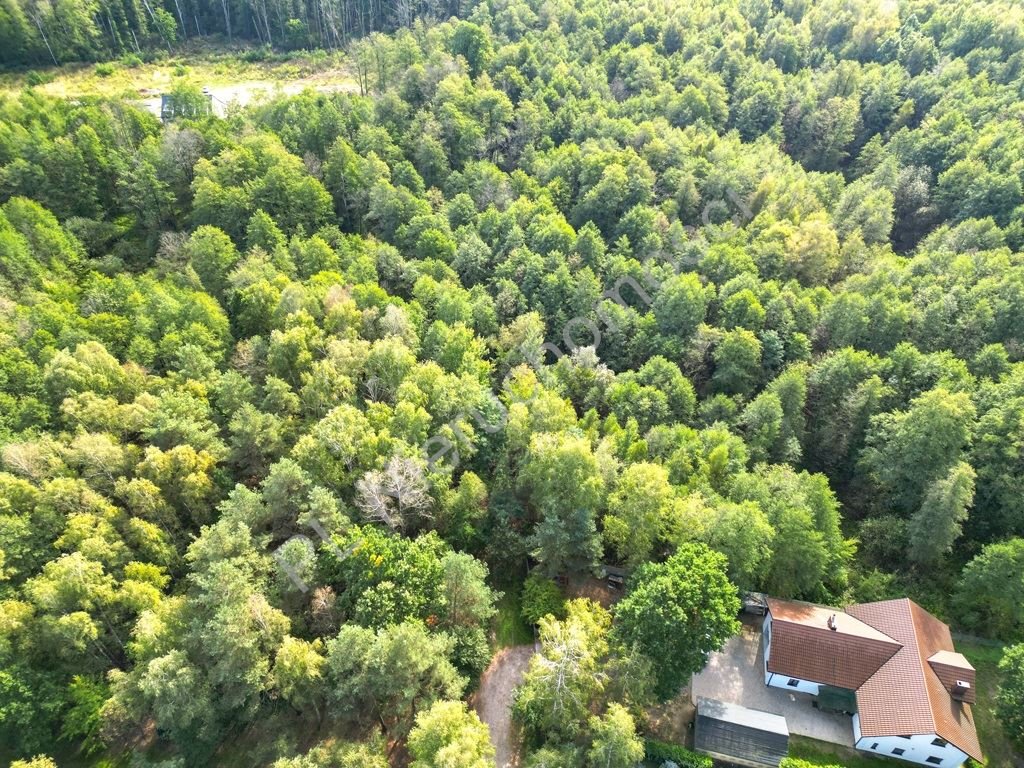 Działka budowlana na sprzedaż Mościska  14 661m2 Foto 1