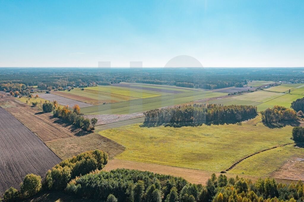 Działka budowlana na sprzedaż Krajęczyn  3 000m2 Foto 16