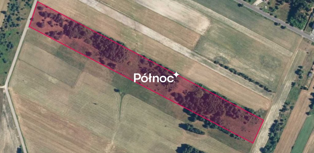Zdjęcie 5