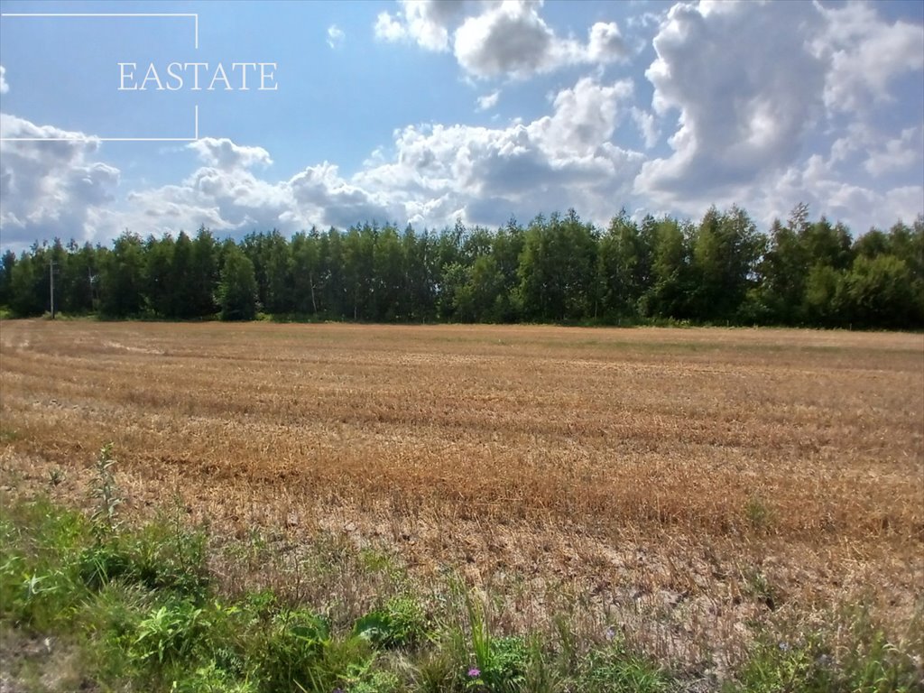 Działka budowlana na sprzedaż Krze Duże  5 700m2 Foto 3