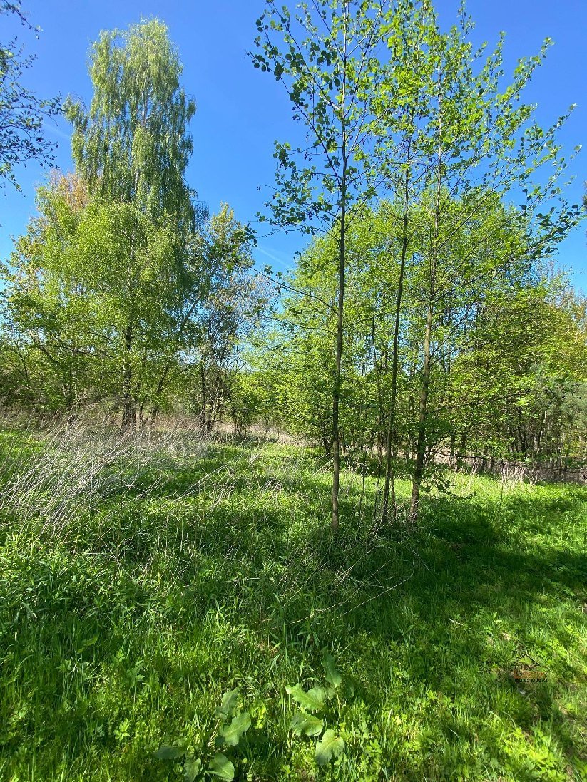 Działka budowlana na sprzedaż Dąbrówka  3 500m2 Foto 1