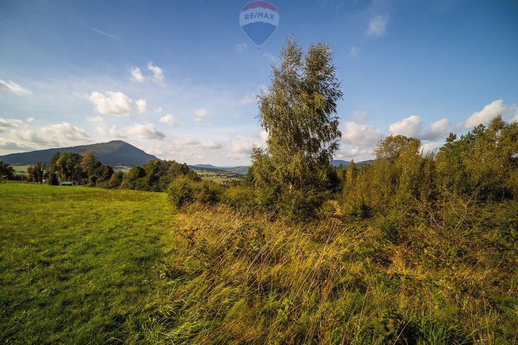 Działka budowlana na sprzedaż Kasina Wielka  5 398m2 Foto 14