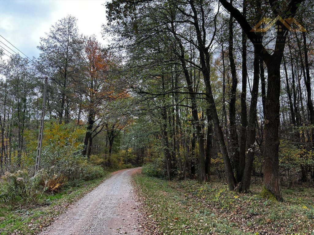 Działka budowlana na sprzedaż Biadoliny Radłowskie  6 800m2 Foto 10