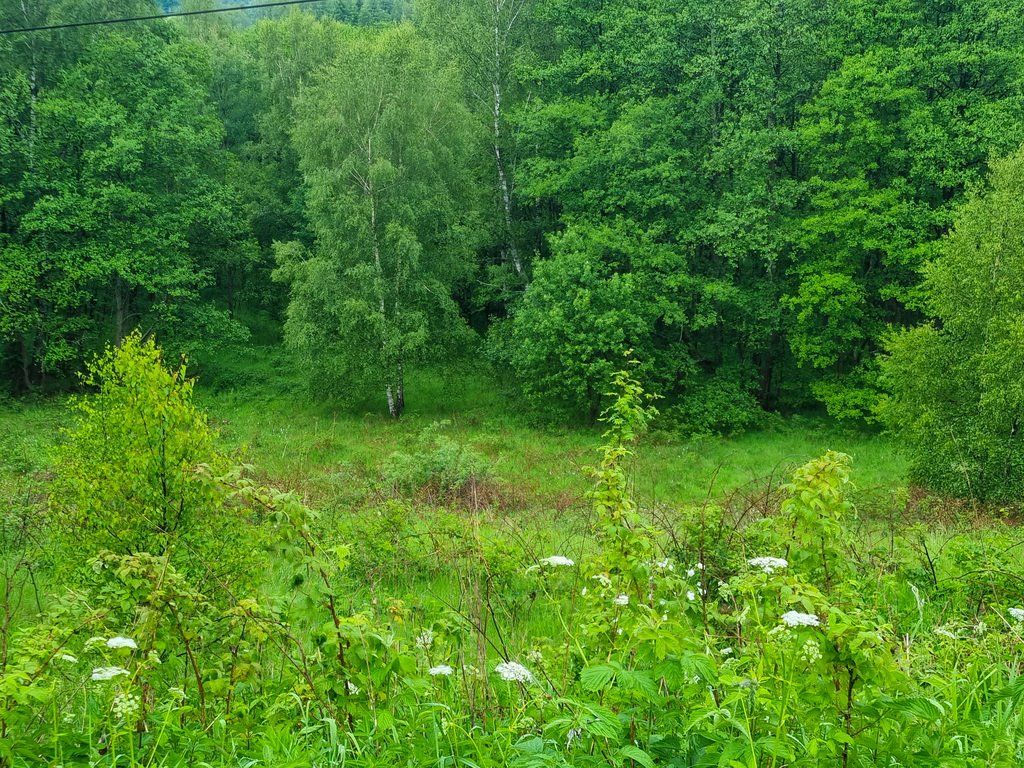 Działka inna na sprzedaż Niemojów  22 900m2 Foto 11