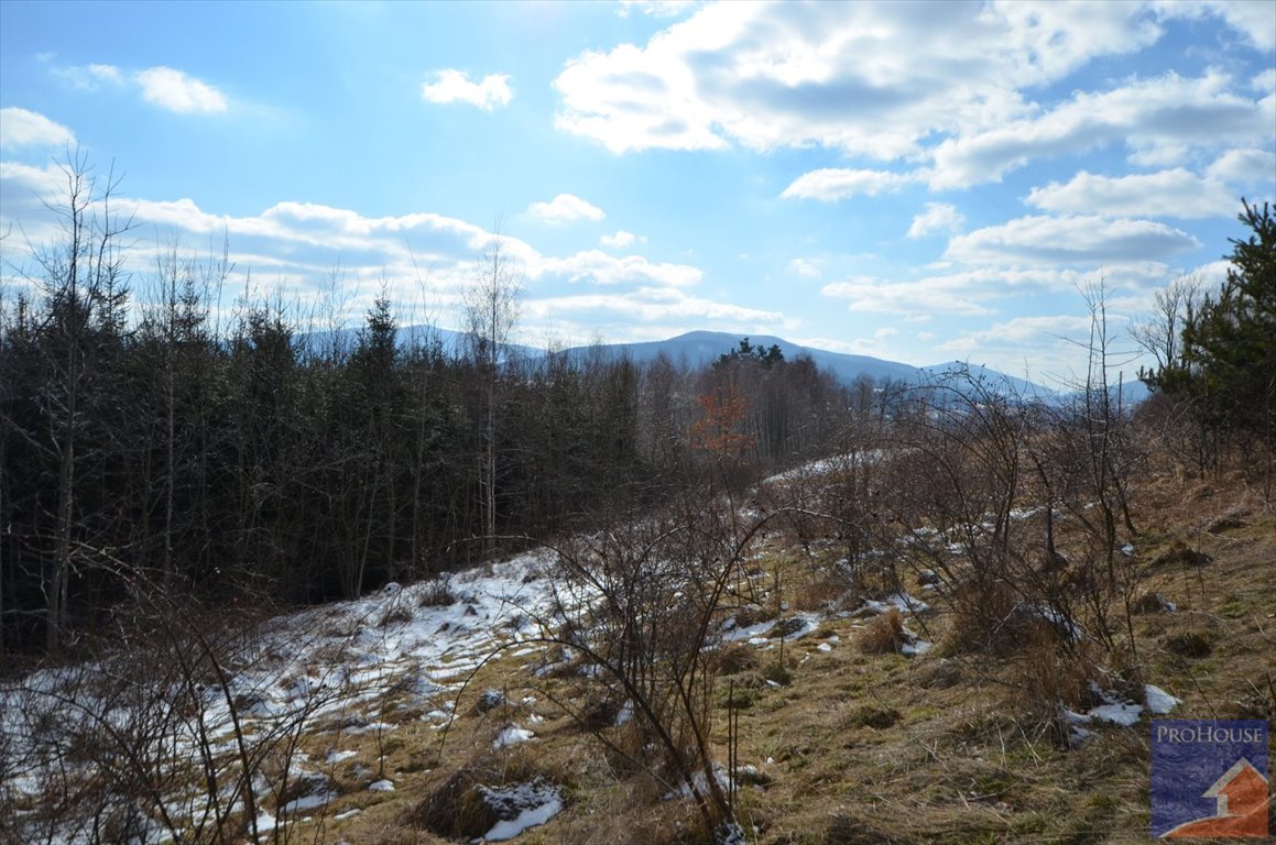 Działka inna na sprzedaż Zamieście  16 400m2 Foto 13