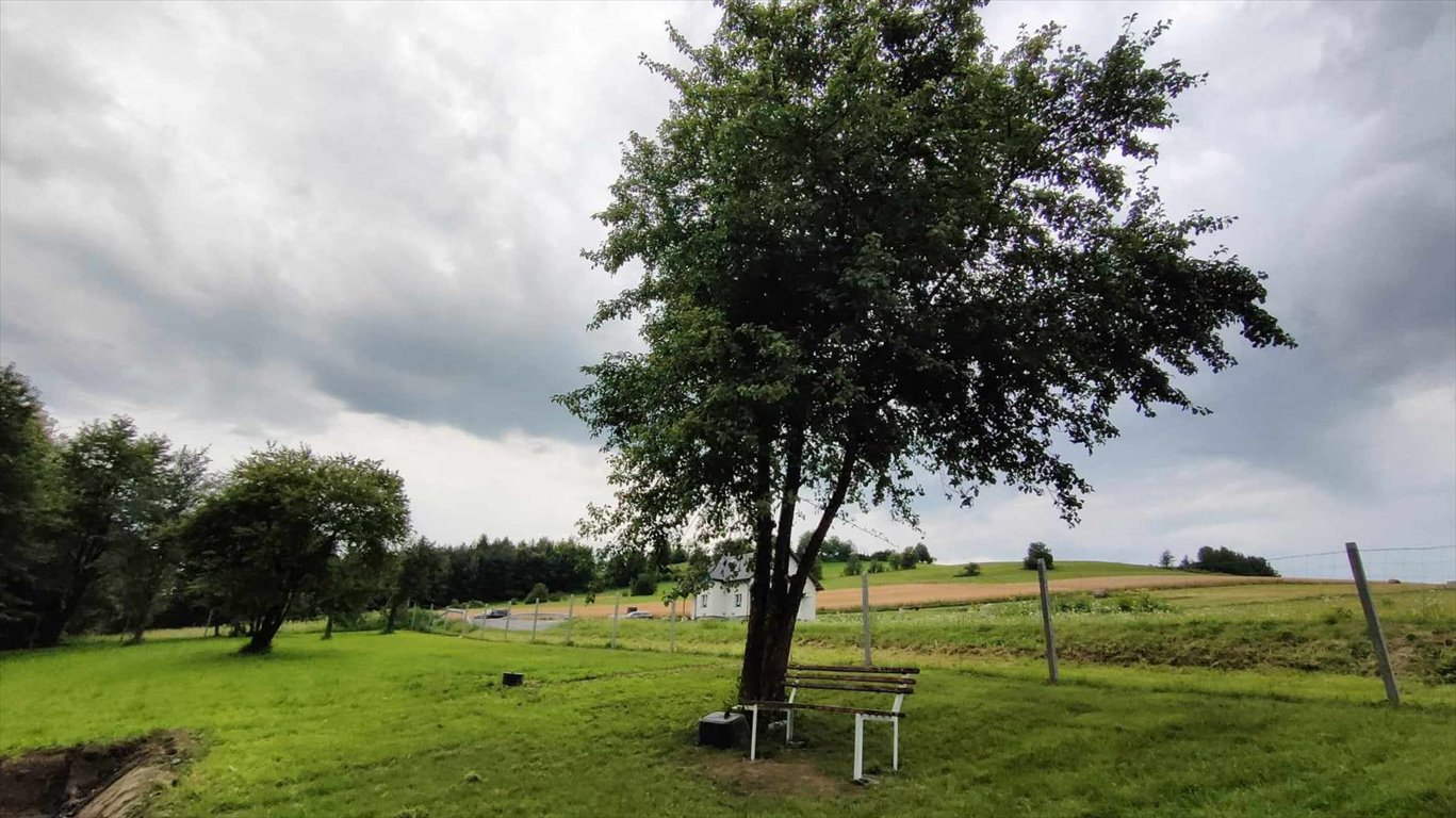 Działka budowlana na sprzedaż Prusiek  2 500m2 Foto 1