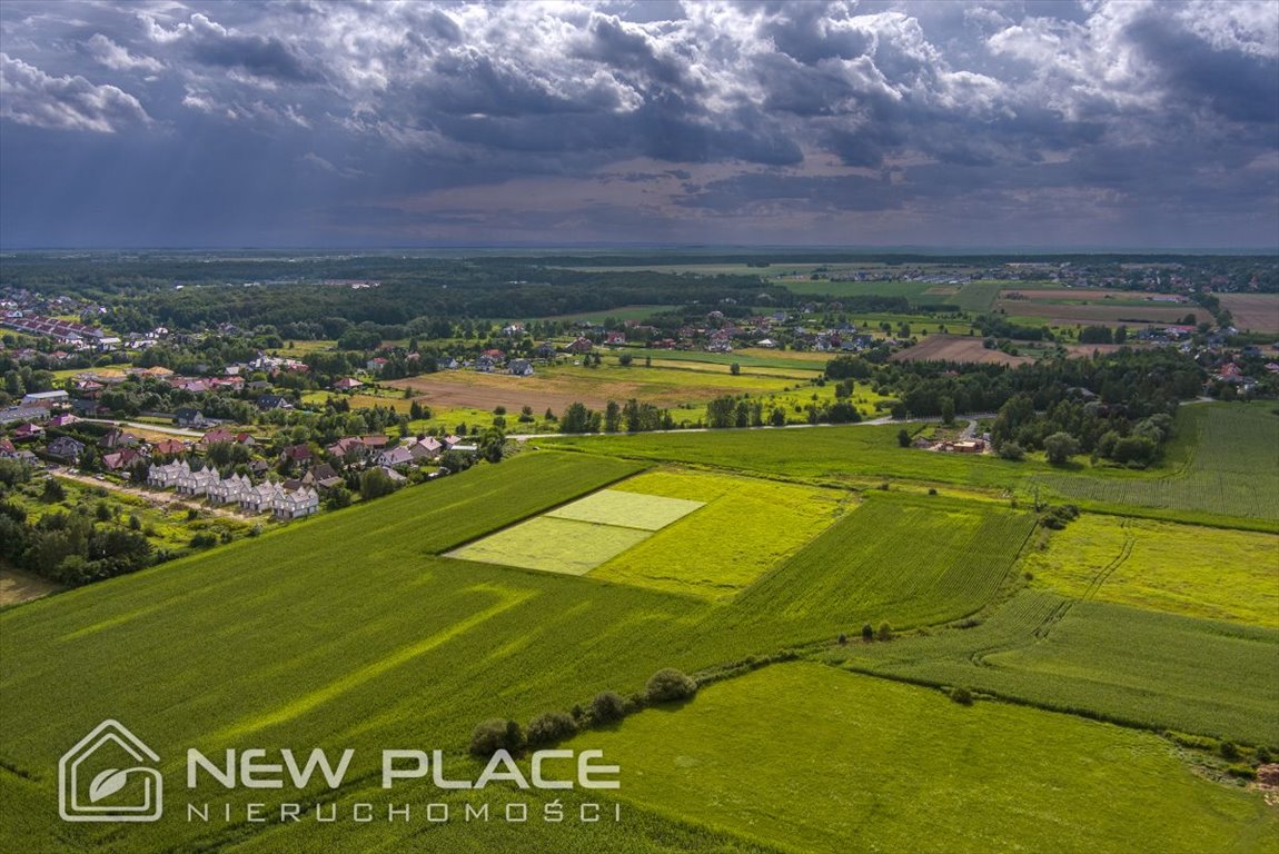 Działka inwestycyjna na sprzedaż Wilkszyn  3 000m2 Foto 8