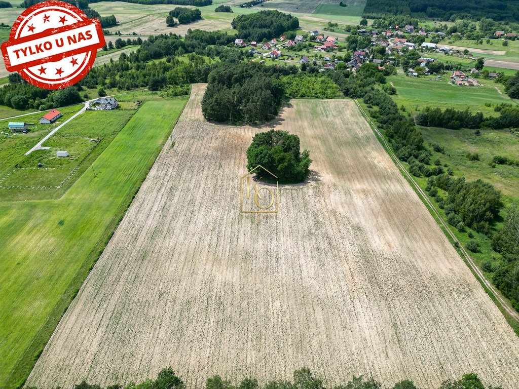 Działka budowlana na sprzedaż Niedary, Kamienna  70 000m2 Foto 4