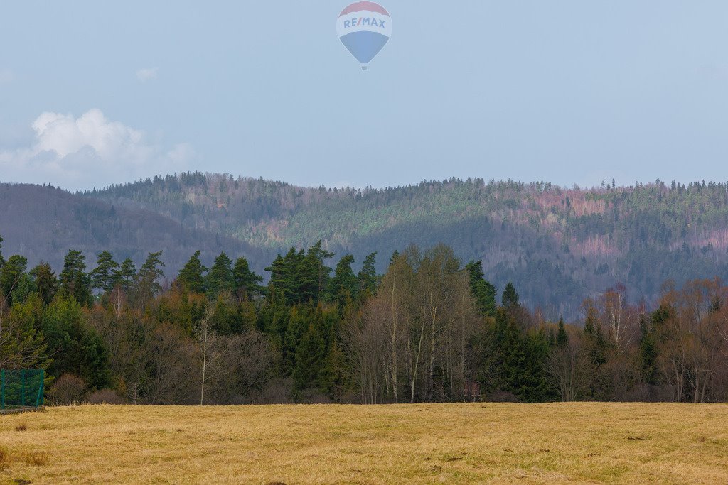 Działka rolna na sprzedaż Sopotnia Wielka  3 098m2 Foto 1