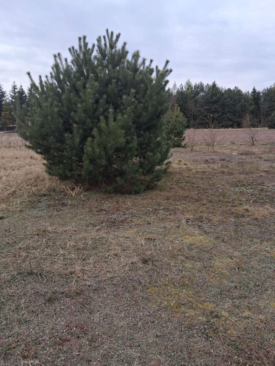 Działka 962 m² z prądem i wodą, blisko jeziora Baranówko Baranówko  962m2 Foto 1