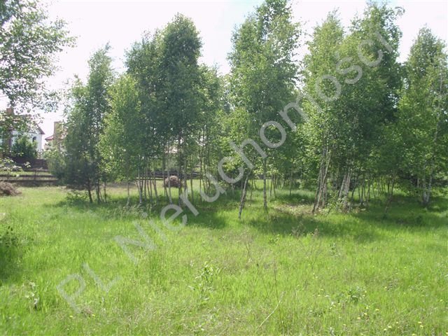 Działka budowlana 1500 m² w Czarnym Lesie – blisko natury Czarny Las  1 500m2 Foto 1