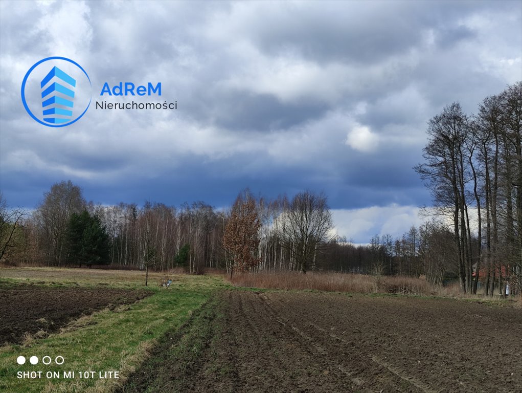 Działka budowlana na sprzedaż Robercin  6 134m2 Foto 6