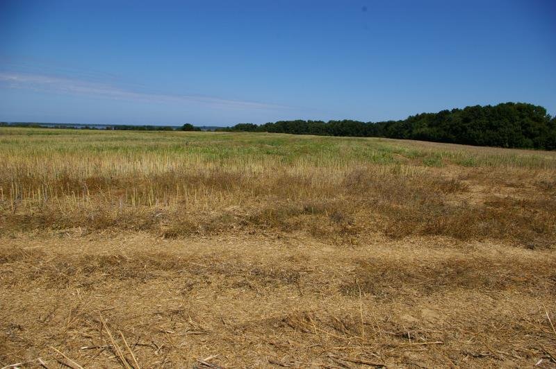 Działka budowlana na sprzedaż Kopnica, Kopnica  17 049m2 Foto 12