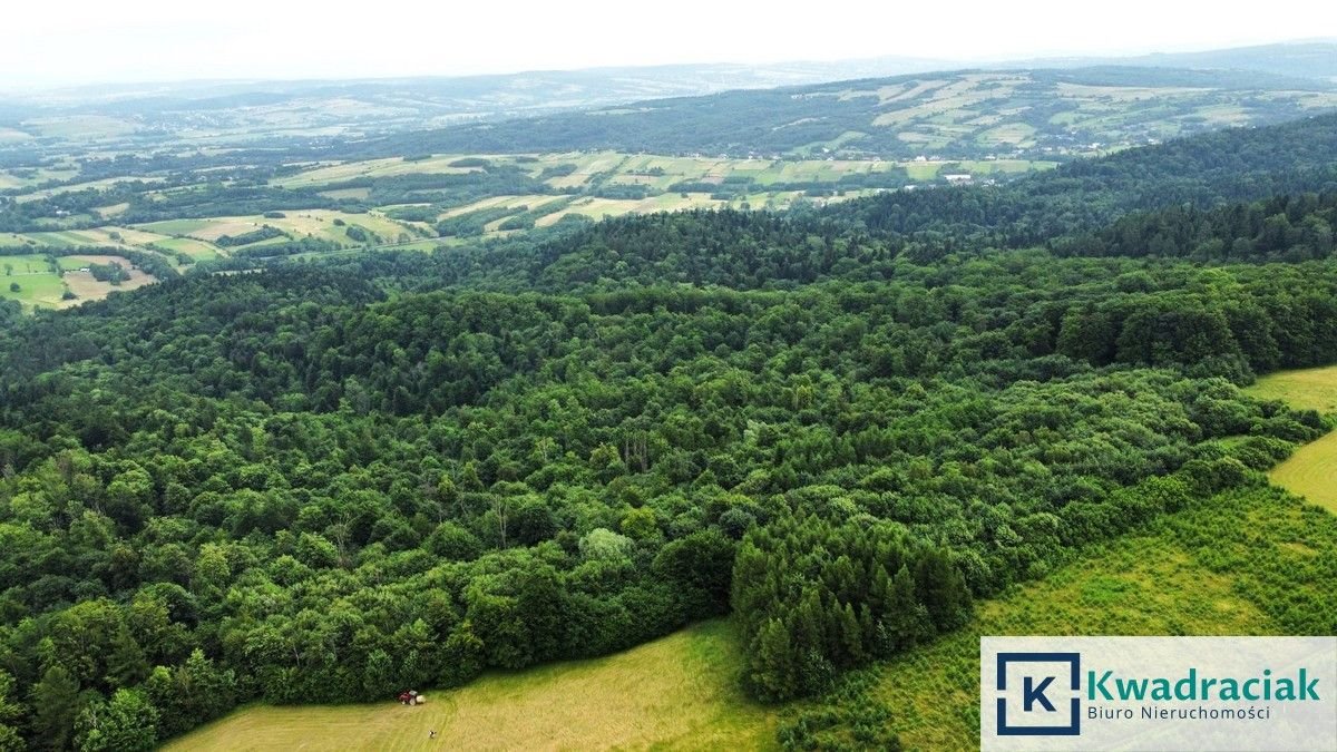 Działka leśna na sprzedaż Stary Żmigród  96 100m2 Foto 6