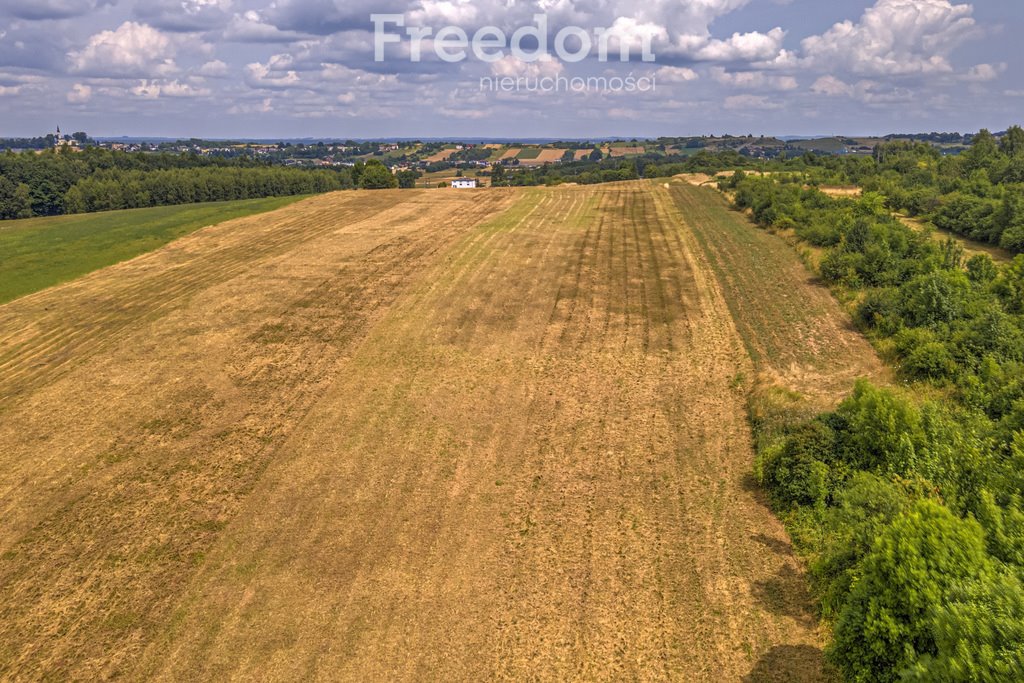 Działka rolna na sprzedaż Siemonia, Kościuszki  17 300m2 Foto 16