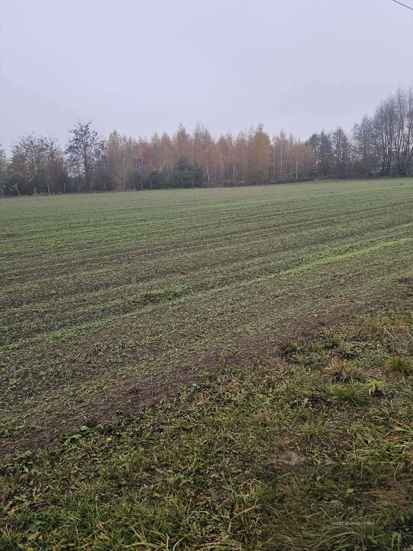 Dom na sprzedaż Lubiejew  140m2 Foto 4